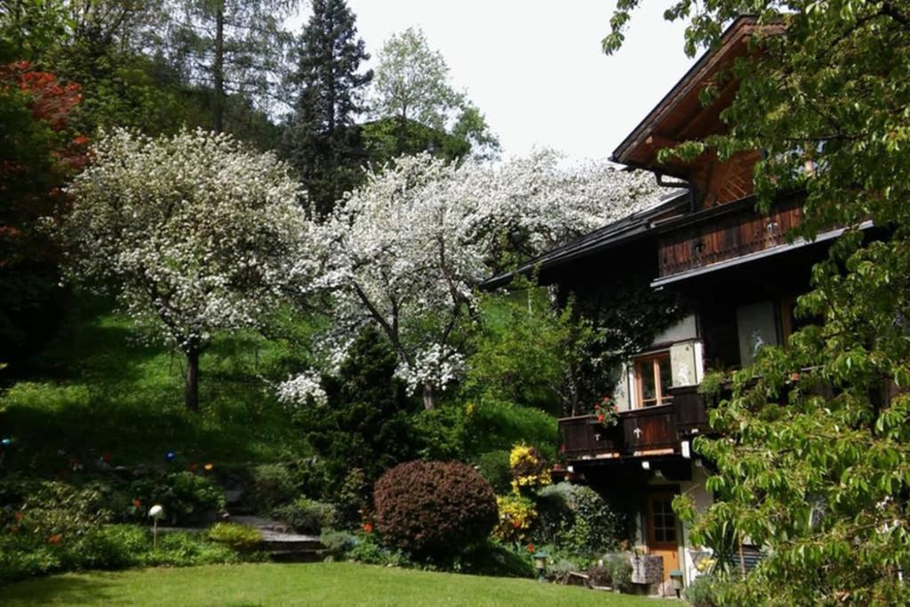 Alpenrelax Haus Weidmannsheil Wohnen Im Romantischen Forsthaus Werfen Esterno foto
