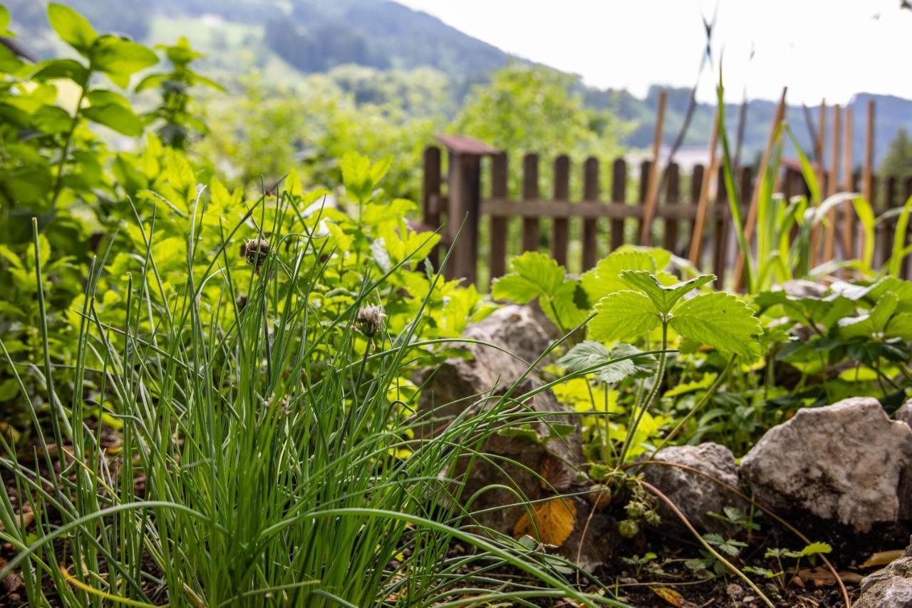 Alpenrelax Haus Weidmannsheil Wohnen Im Romantischen Forsthaus Werfen Esterno foto